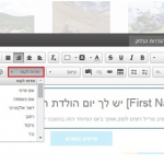 פרסונליזציה2