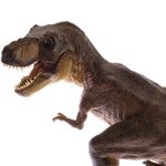 שליחת קמפיין אימיילים בתפוצה רחבה