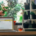 How Email Marketing Can Help Your Seasonal Business Work