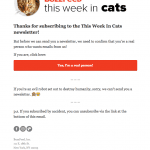 באזפיד. אתם לא חתול?