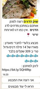תוכן ערכי בוואטסאפ