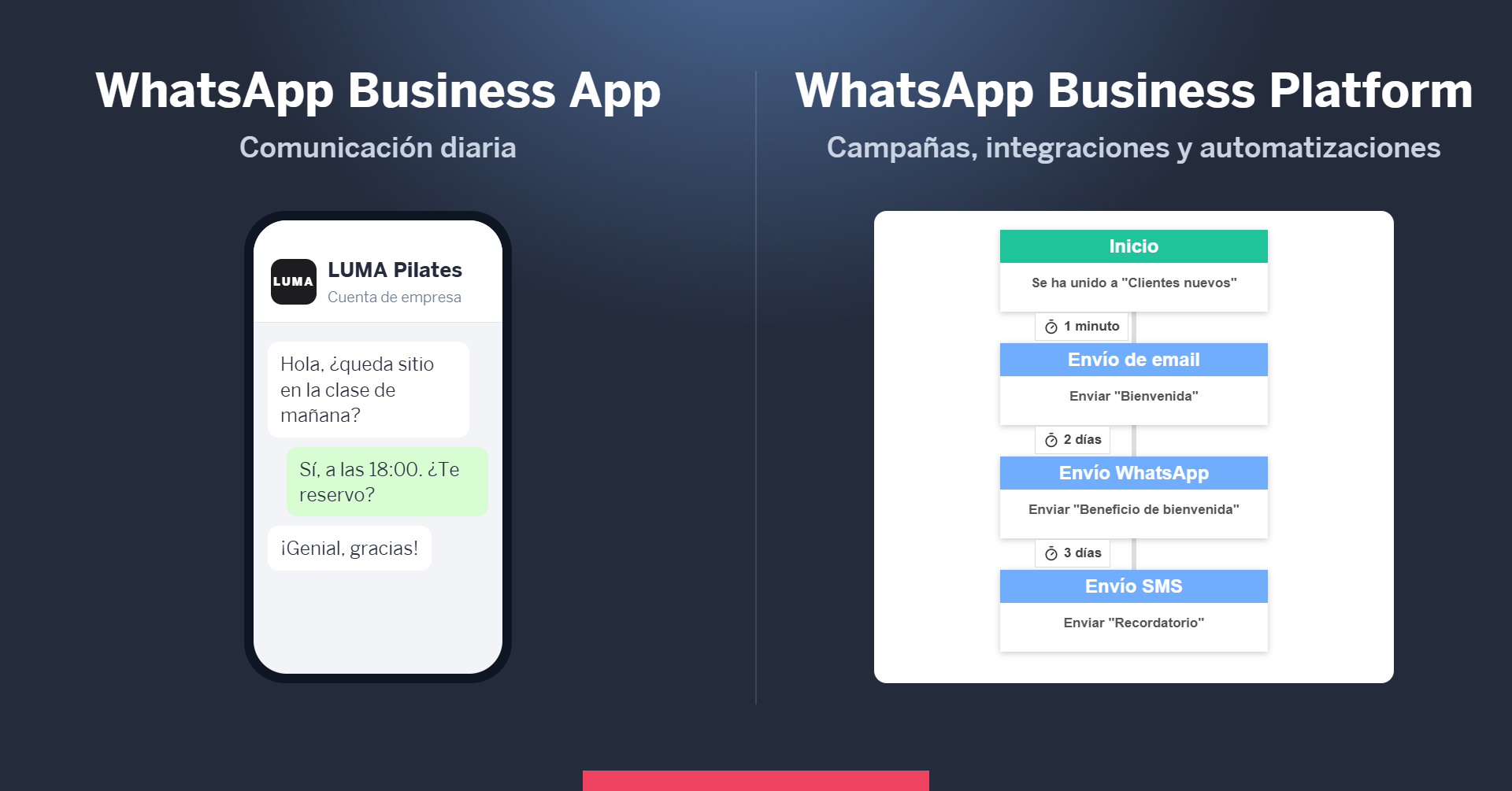Comparación entre la aplicación WhatsApp Business para la comunicación diaria y WhatsApp Business Platform para campañas, integraciones y automatizaciones