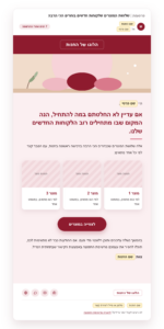 דוגמה למייל רביעי בסדרה: שלושת המוצרים שלקוחות חדשים בוחרים